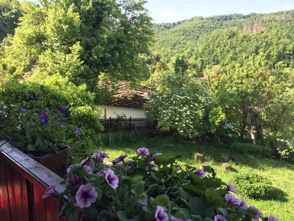 Stefanina Guesthouse Bozhentsi Exterior foto